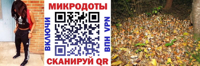 Купить где  Тырныауз  Псилоцибиновые грибы мухоморы 